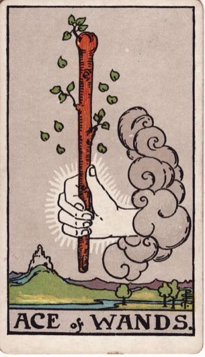 Ace of Wands, from the Rider-Waite tarot deck
