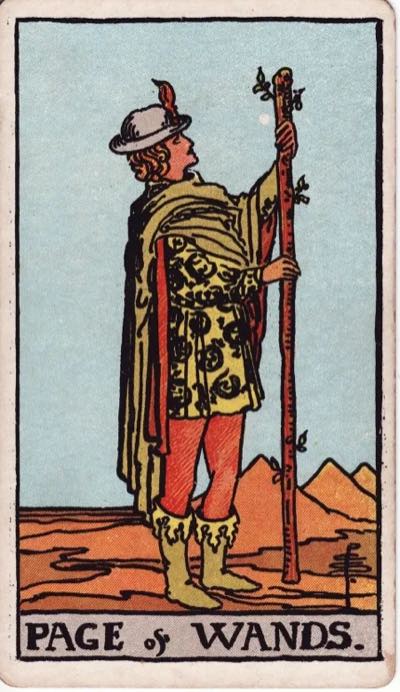Page of Wands, from the Rider-Waite tarot deck